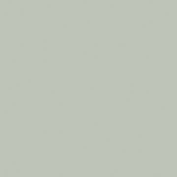 Little Greene - 169 - Pearl Colour Dark